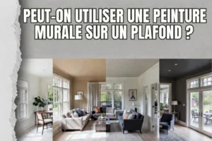 Peut-on utiliser une peinture murale sur un plafond ?